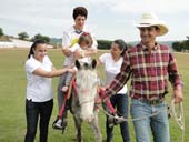 Projeto “Amigos da Equoterapia” é desenvolvido na Fazenda Laboratório do UNIFOR-MG